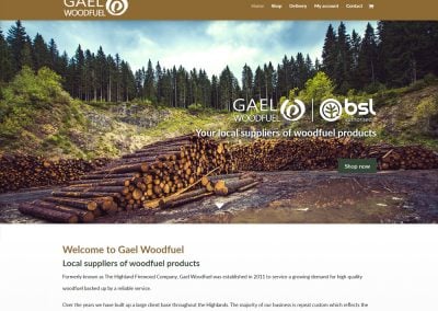Gael Woodfuel - Archive design